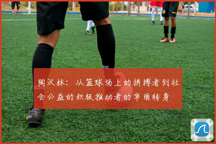 陶汉林：从篮球场上的拼搏者到社会公益的积极推动者的华丽转身