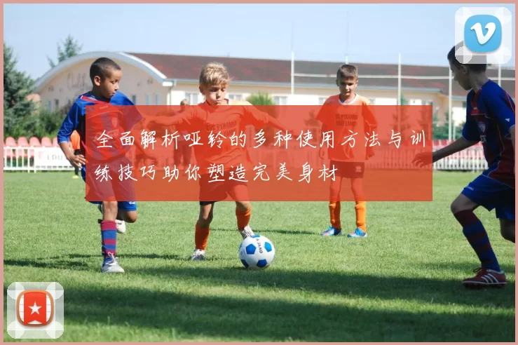 全面解析哑铃的多种使用方法与训练技巧助你塑造完美身材