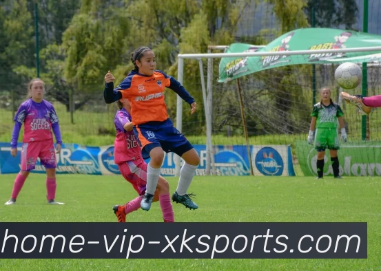 XK星空体育品牌故事